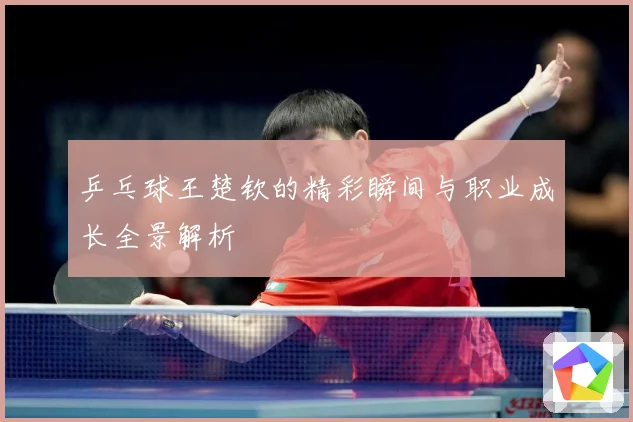 乒乓球王楚钦的精彩瞬间与职业成长全景解析