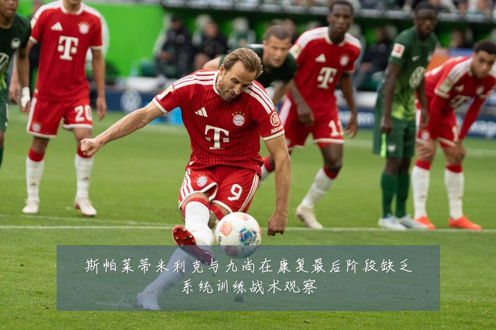 斯帕莱蒂米利克与九尚在康复最后阶段缺乏系统训练战术观察